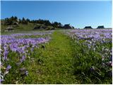 Stahovica - Gradišče (Velika planina)